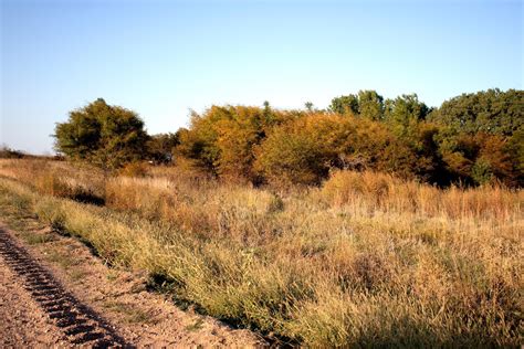 landwatch kansas|landwatch kansas hunting and timber.